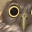 goffmog's avatar image