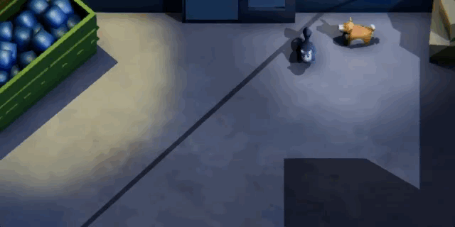Dec-03-2017 23-38-45.gif
