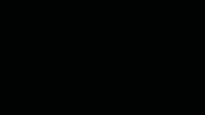 asset_1.gif
