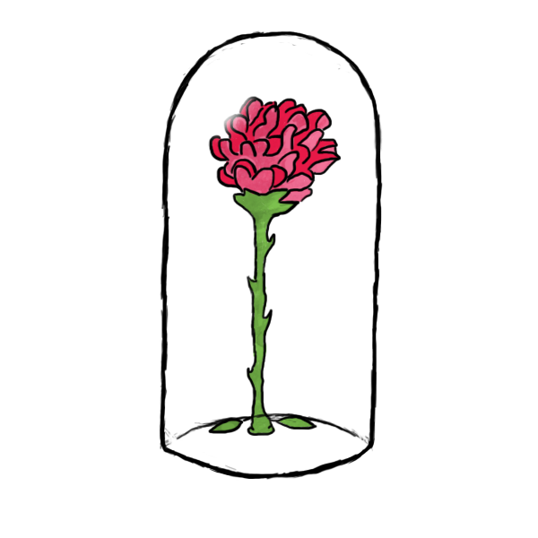 rose2.png