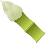 aspargus_info.png