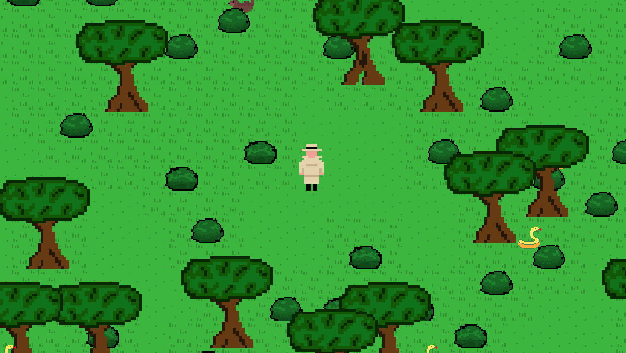 forest.png