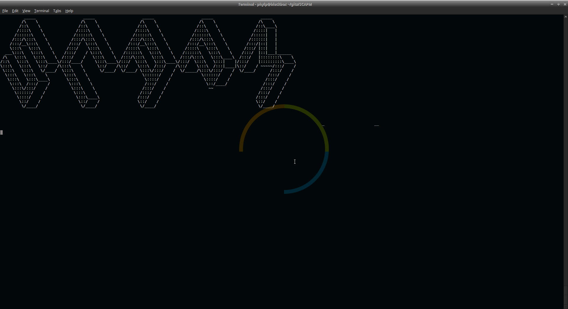 scapm1.png