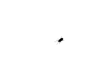 bug easter egg