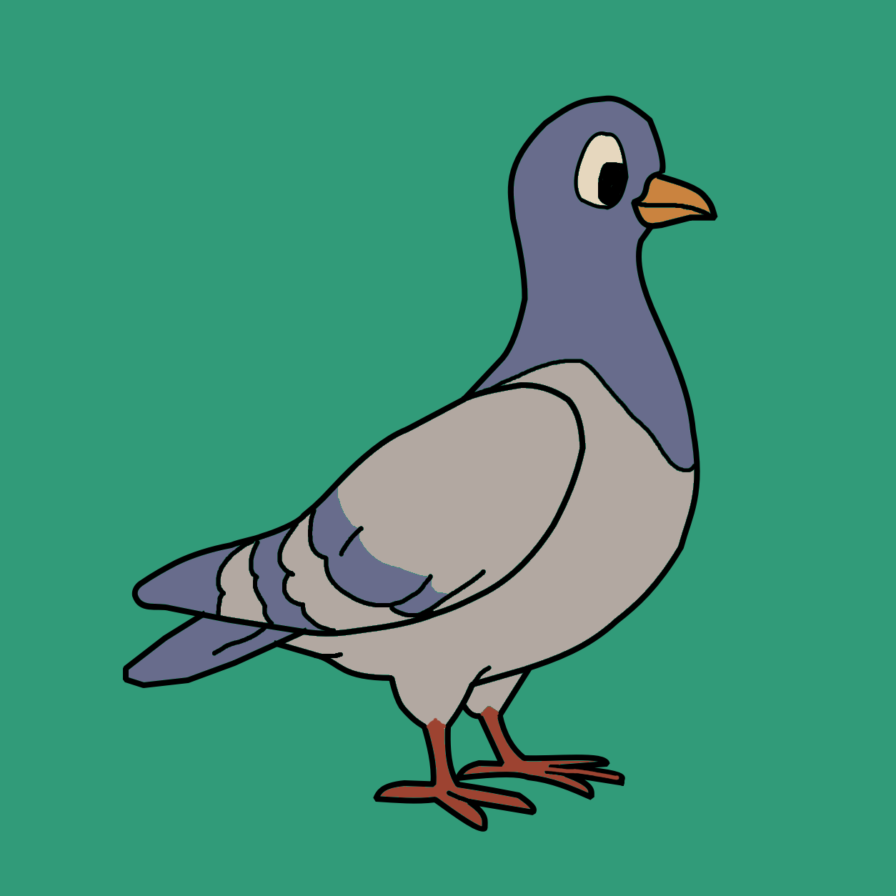 pigeon_show.png