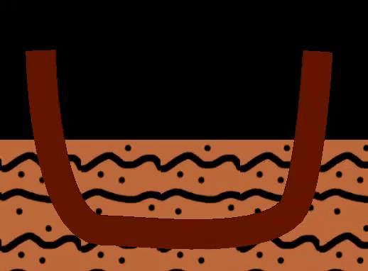 cup.gif