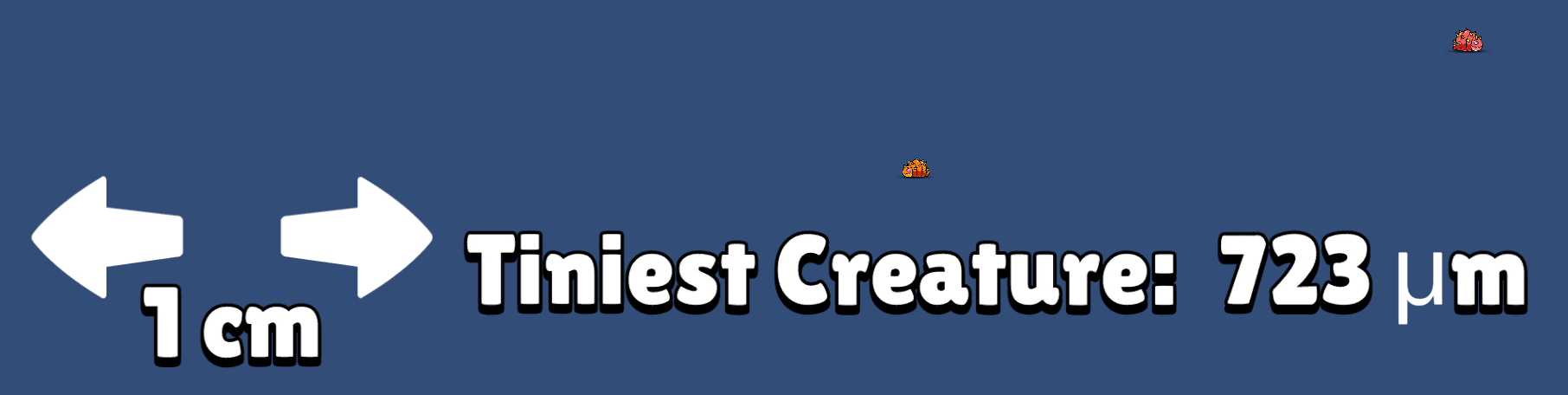Scale.png