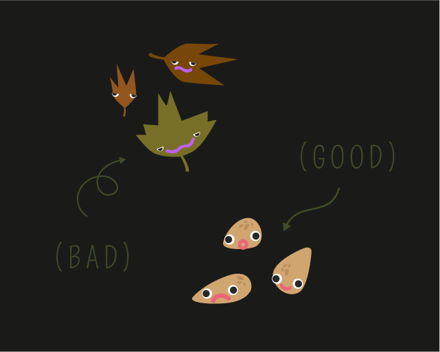 promo1.png