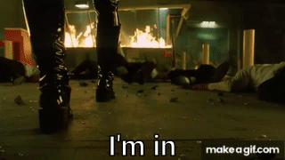 TrinityemI/emmemIn/emTheemMatrix/emReloaded.gif