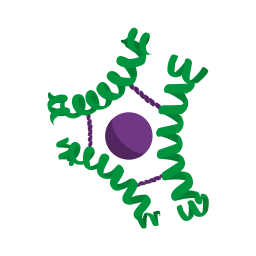 insulin.png
