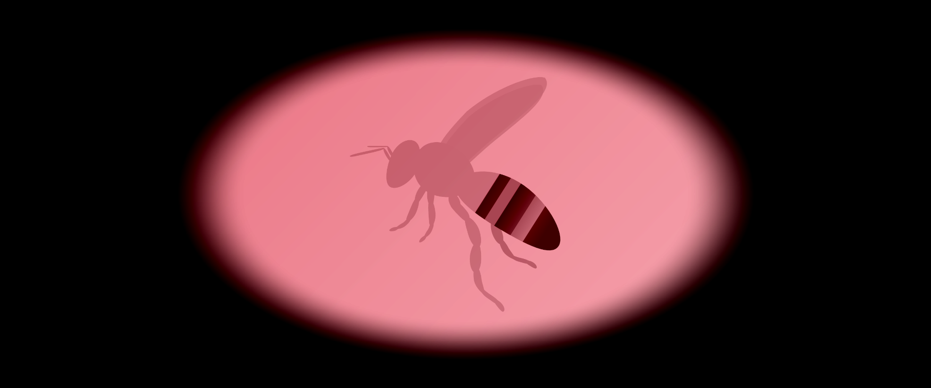 banner.png