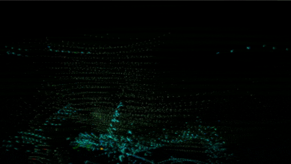 Gif02.gif