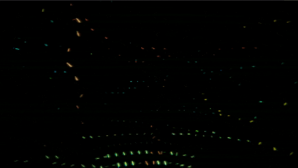 Gif05.gif