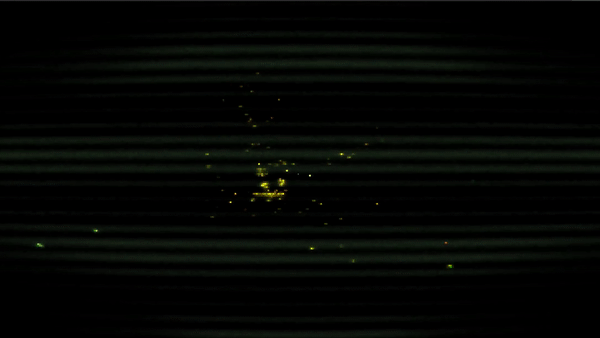 Gif06.gif