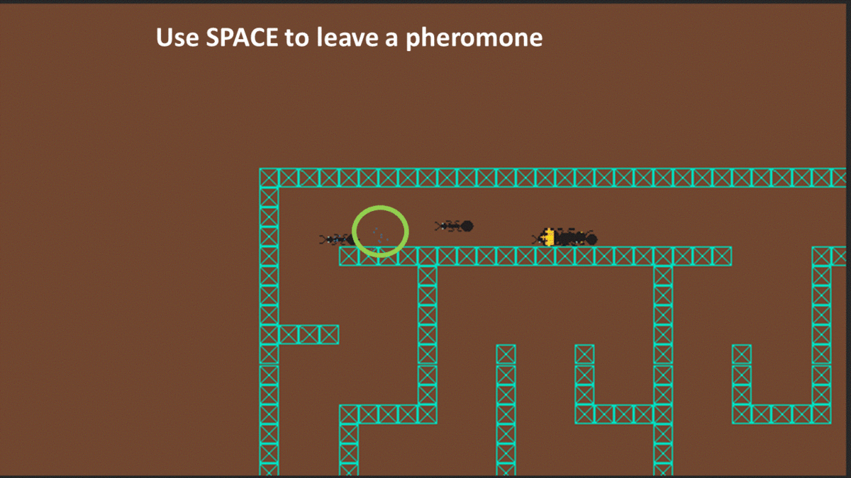 tutorial_pheromone.gif