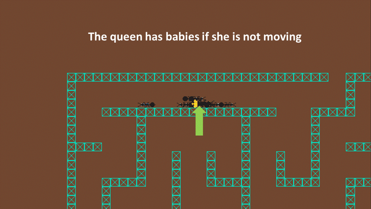 tutorial_queenbabies.gif