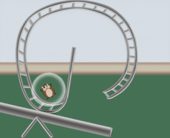 GIF.gif