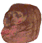 blockage1.gif