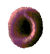 dwdwadawawdaw.gif
