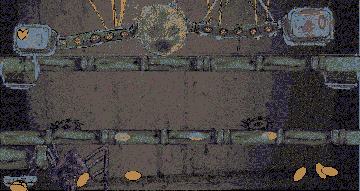 Carpovum1A16small2b.gif
