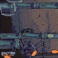 Carpovum1A16Croppedd.gif