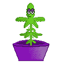pot</em>idle.gif